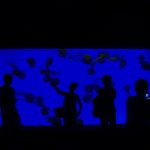 上海観光の旅!上海の水族館と動物園ご紹介!筆者のぼったくり体験もご紹介・・。