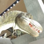 群馬・日光観光!群馬県立自然史博物館でティラノ、華厳の滝・湯滝巡り