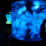 2018年一発目の旅!速報版④ ~新潟・長野~