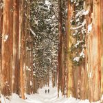 2018年一発目の旅!速報版⑤ ~長野~