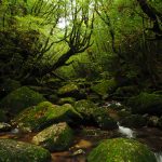 2018年4月からの旅の計画について