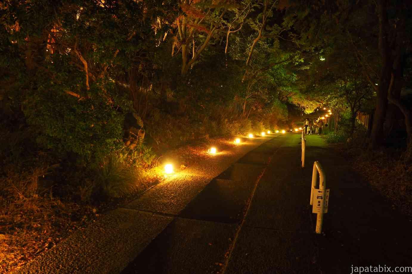 京都 紅葉 瑠璃光院 夜の八瀬