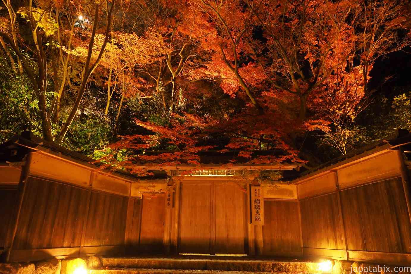 京都 瑠璃光院の紅葉年版 朝と夜の瑠璃光院の見どころを徹底解説 秋の特別拝観の混雑状況や拝観料 アクセス方法も じゃぱたびっくす Part 2