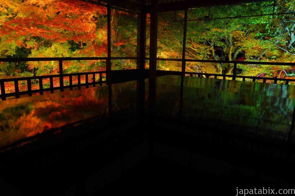 京都 八瀬 瑠璃光院 夜間特別拝観 紅葉ライトアップ