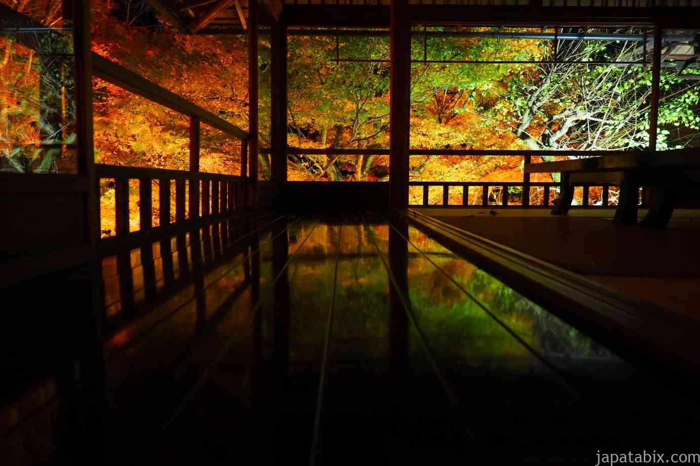京都 紅葉 瑠璃光院 夜間特別拝観 書院から見る瑠璃の庭