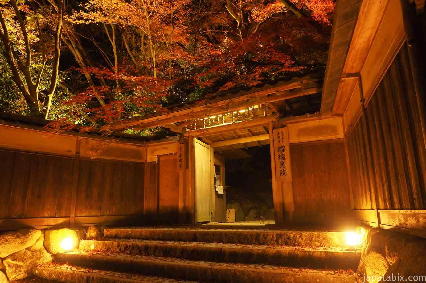 京都 紅葉 瑠璃光院 夜間特別拝観 