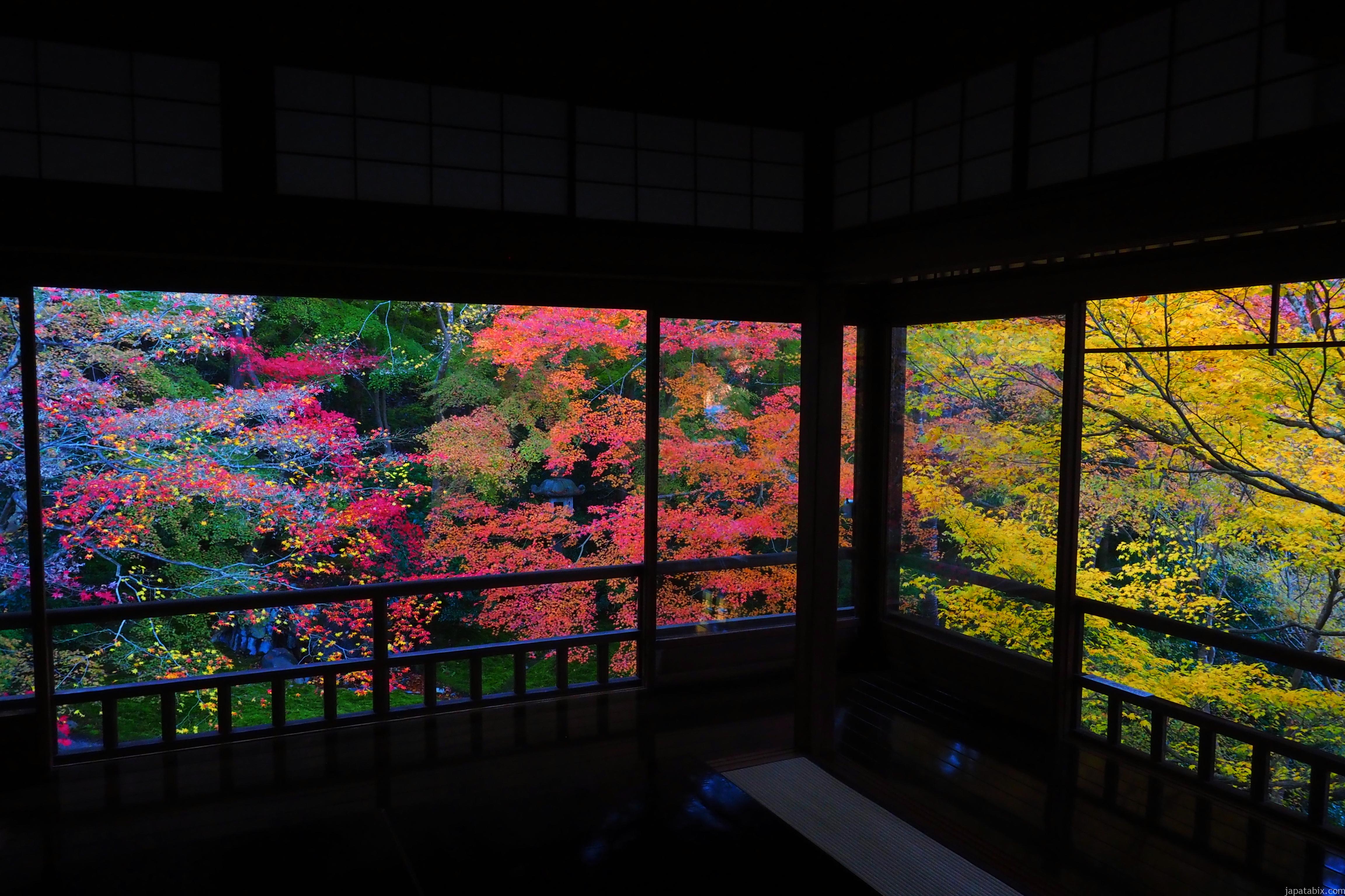 京都 瑠璃光院の紅葉年版 朝と夜の瑠璃光院の見どころを徹底解説 秋の特別拝観の混雑状況や拝観料 アクセス方法も じゃぱたびっくす Part 2