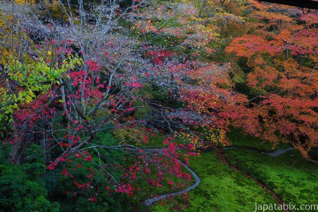 瑠璃光院の紅葉