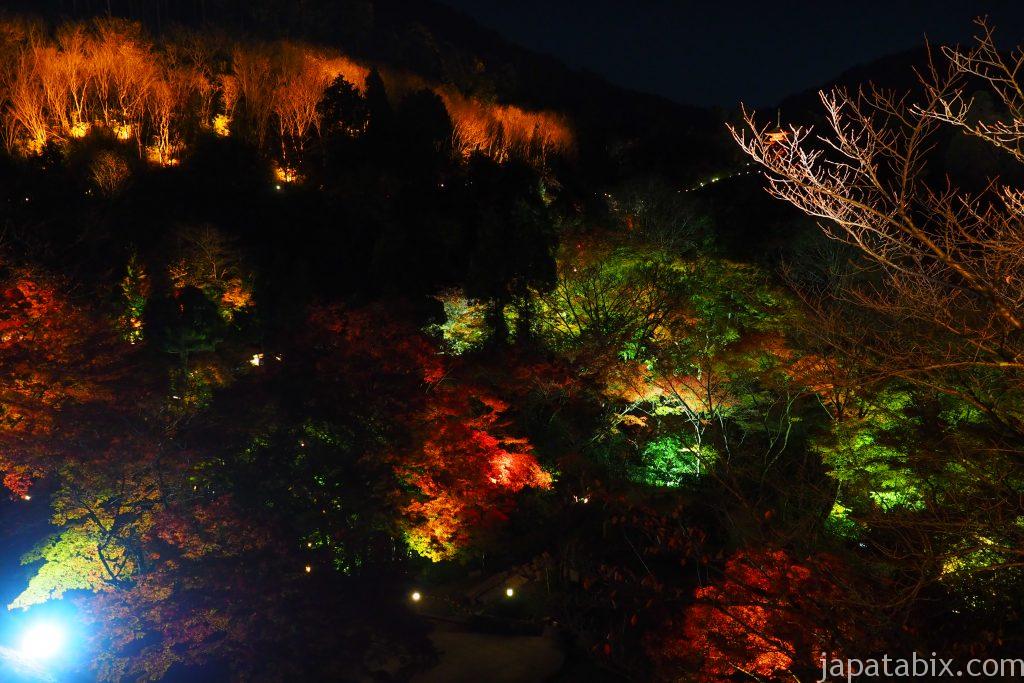 夜の清水寺ライトアップ