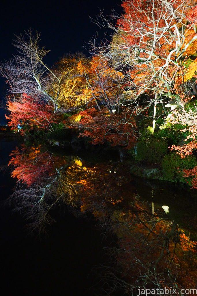夜の清水寺の紅葉