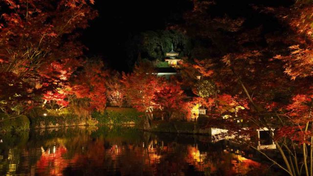 京都 紅葉 永観堂 夜間特別拝観 放生池と多宝塔