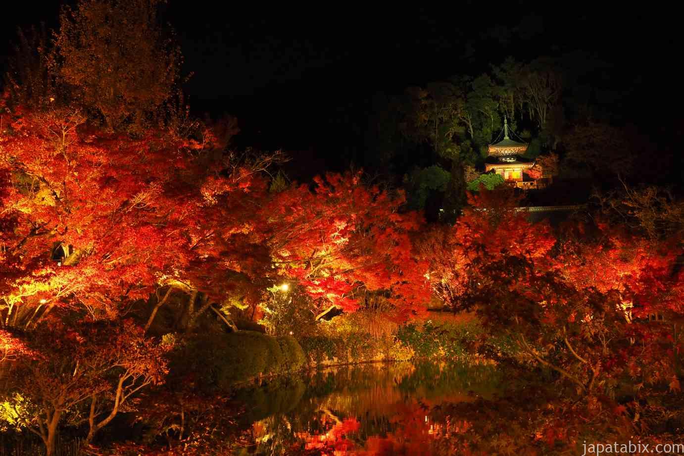 京都 紅葉 永観堂 夜間特別拝観 放生池と多宝塔