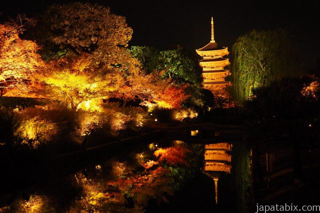東寺 五重塔と紅葉ライトアップ