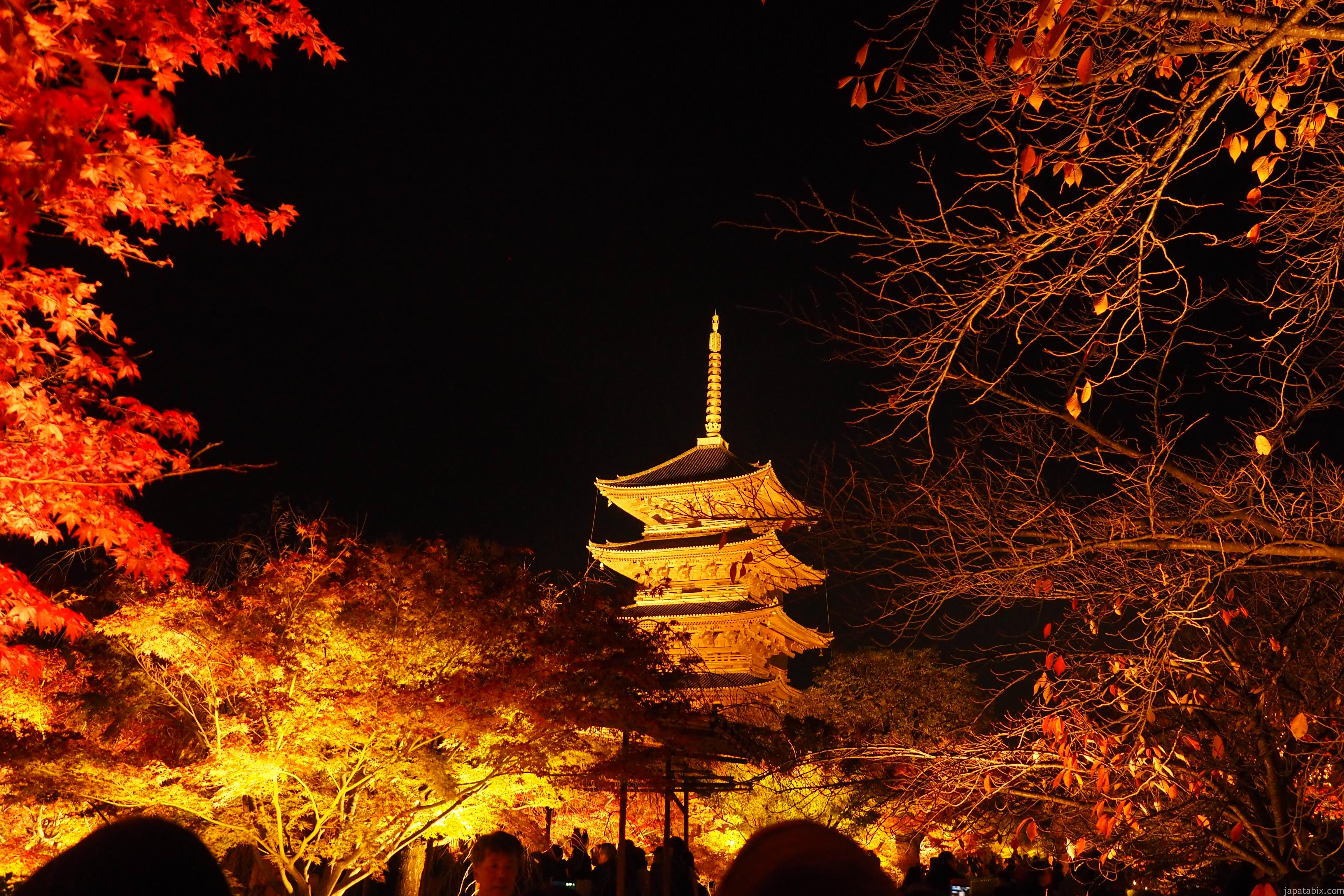 京都 東寺の紅葉21年版 見どころは五重塔のライトアップ 混雑情報やアクセス方法を徹底解説