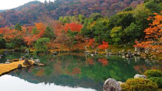 天龍寺 曹源池庭園の紅葉