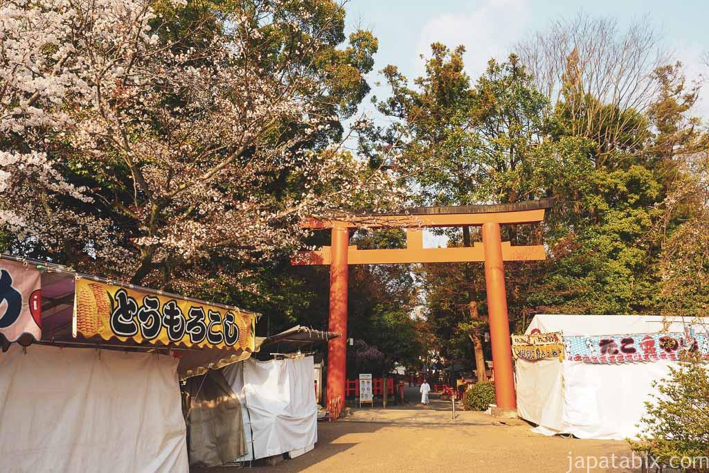 京都 八坂神社 春の早朝