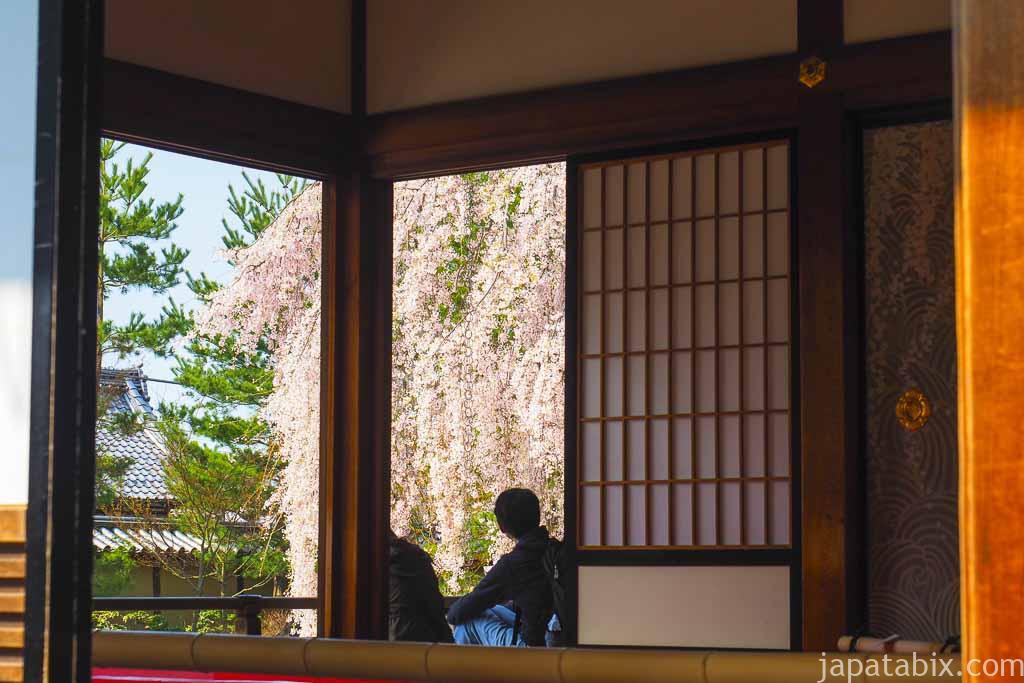 京都 高台寺 波心庭の枝垂れ桜