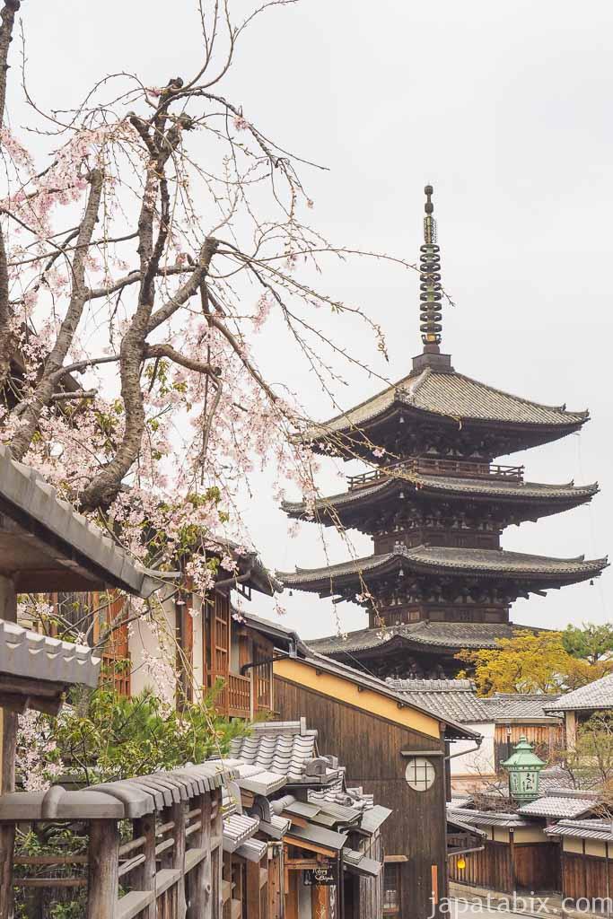 京都 早朝の東山散策 二寧坂 八坂の塔 と桜