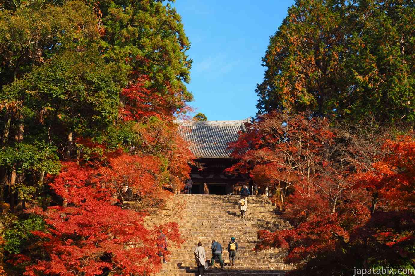 京都 紅葉 神護寺