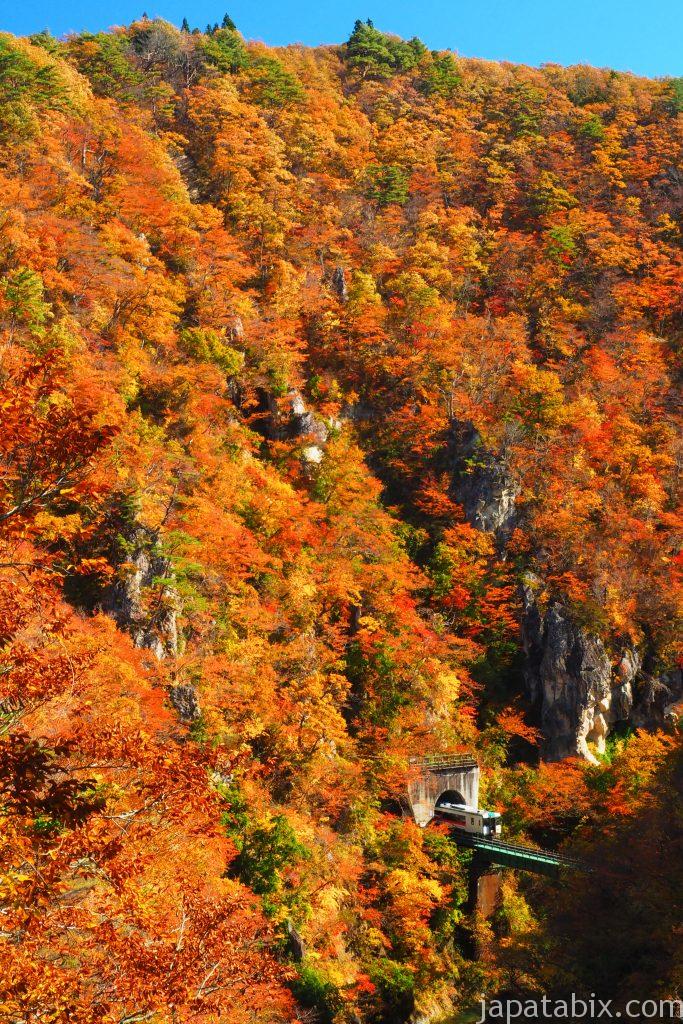 鳴子峡の紅葉と列車