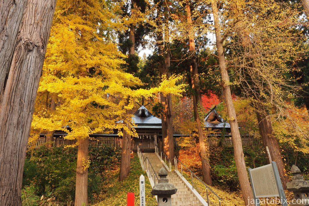 新宮熊野神社のイチョウの紅葉