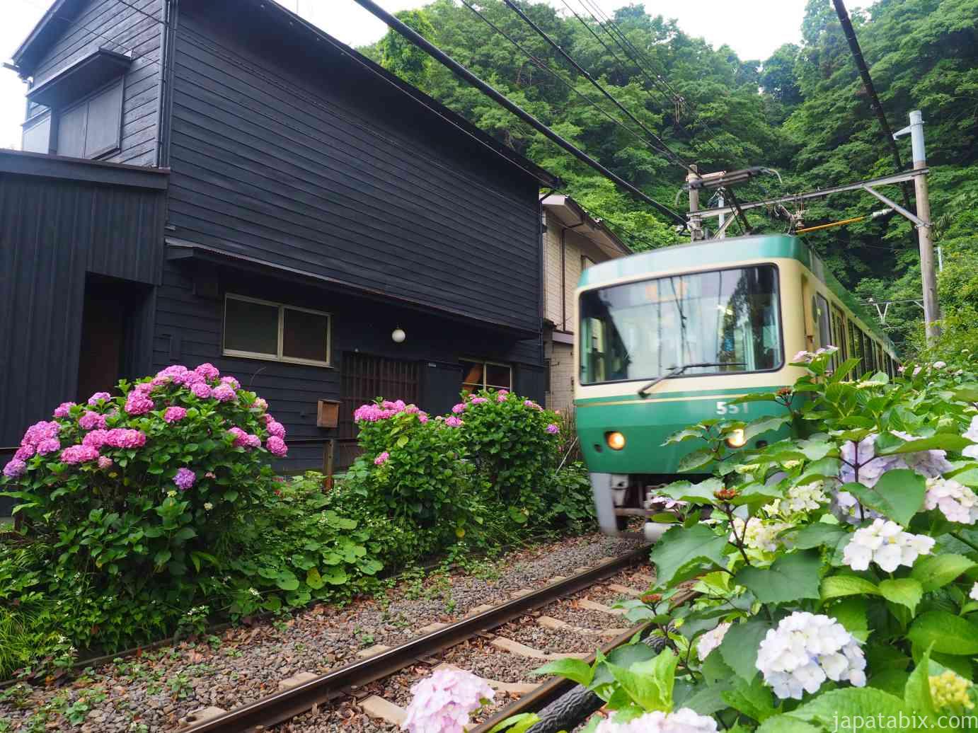 鎌倉 御霊神社の紫陽花 21年版 江ノ電と紫陽花 見頃時期と混雑状況をご紹介 じゃぱたびっくす