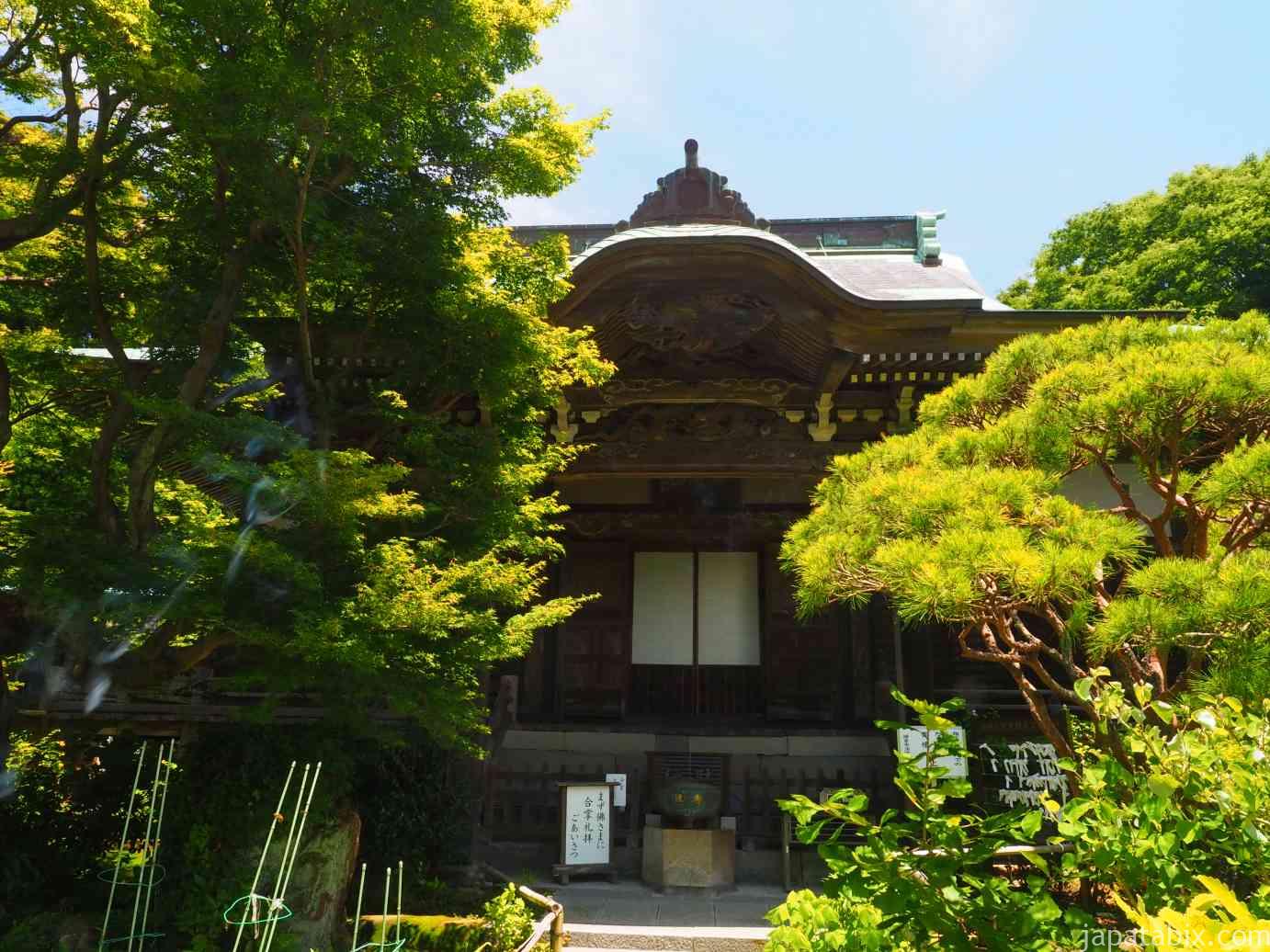 【鎌倉 妙法寺 2021年版】鎌倉の苔寺！美しい苔の石段に癒される