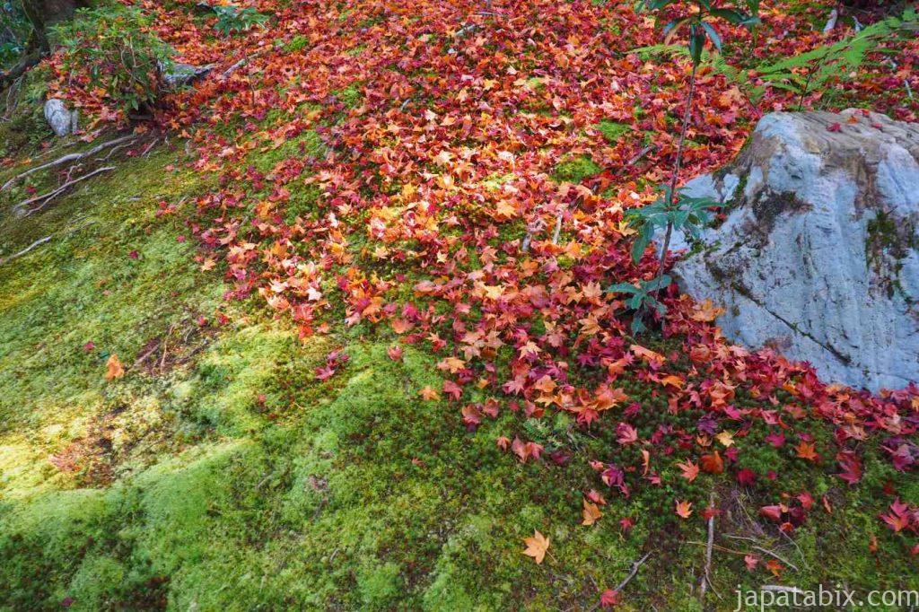 詩仙堂 百花塢の苔と紅葉