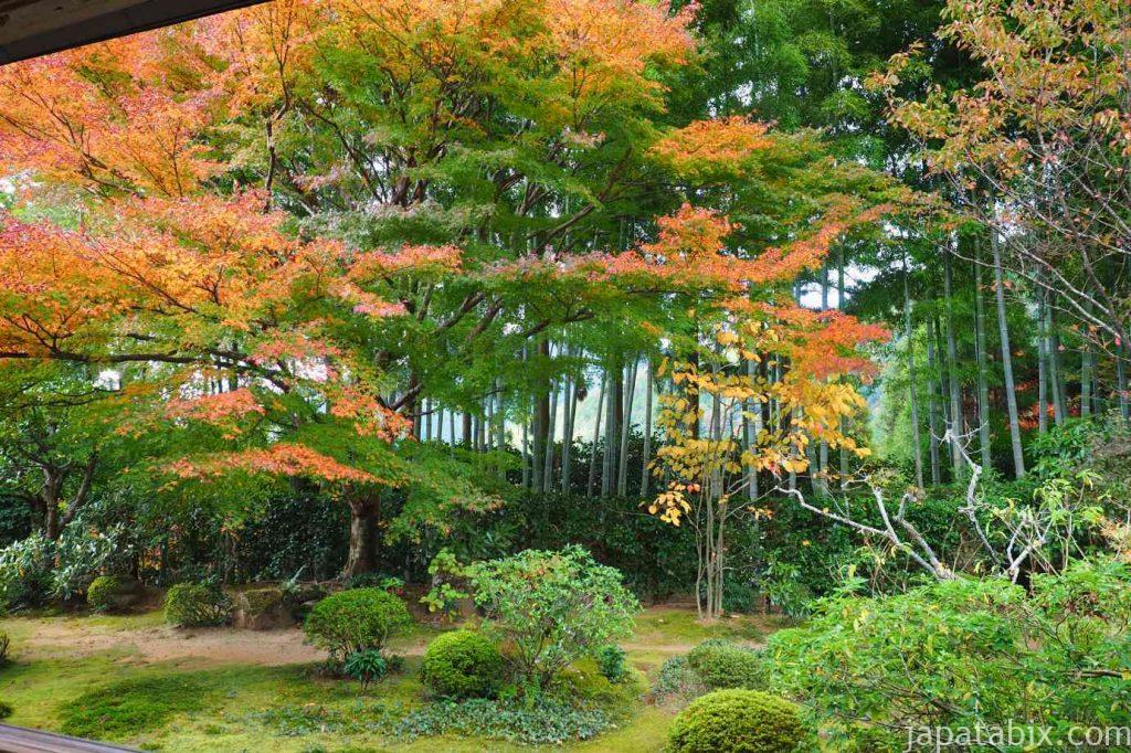 京都 大原 宝泉院 盤桓園 額縁庭園