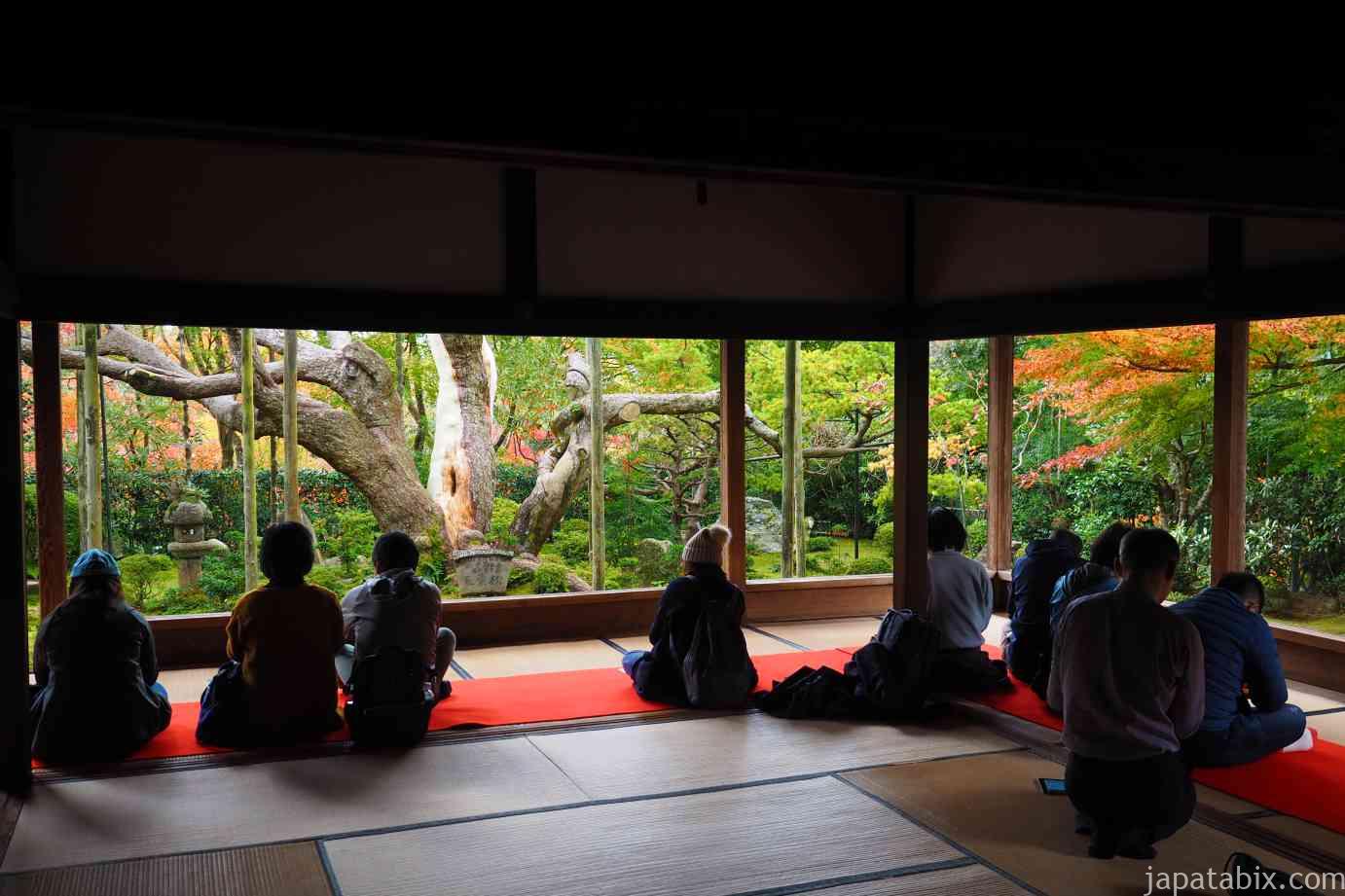 京都 大原 宝泉院の紅葉21年版 抹茶と額縁庭園を楽しむ 紅葉見頃や魅力をご紹介 じゃぱたびっくす