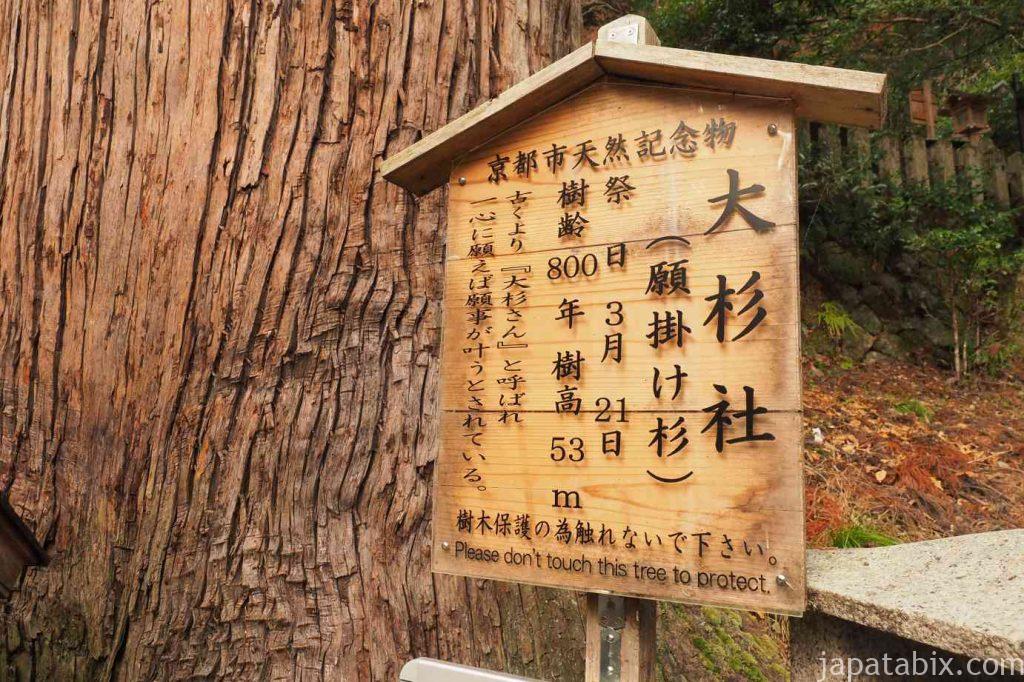 京都 鞍馬寺 紅葉 大杉社