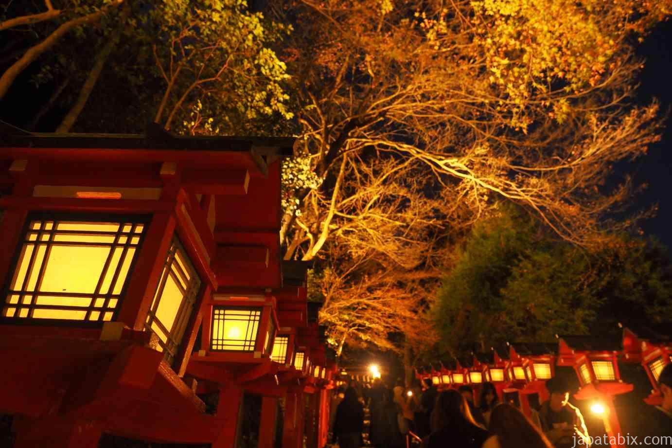 京都の紅葉情報まとめ 21年版 秋の特別拝観 ライトアップ情報の一覧