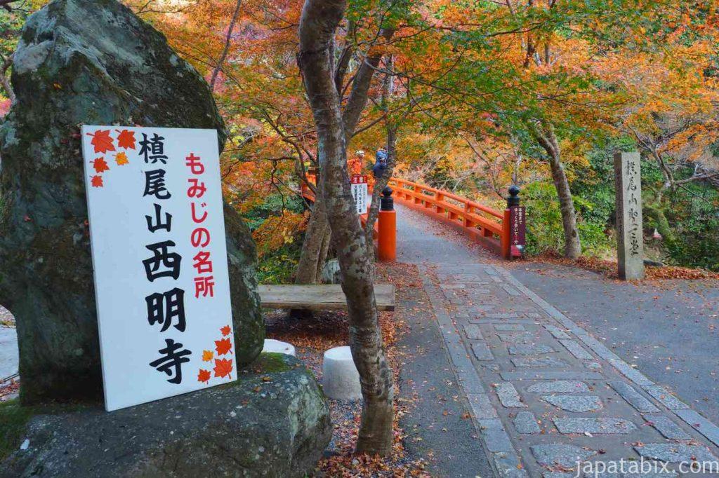 京都 高雄 西明寺 指月橋の紅葉