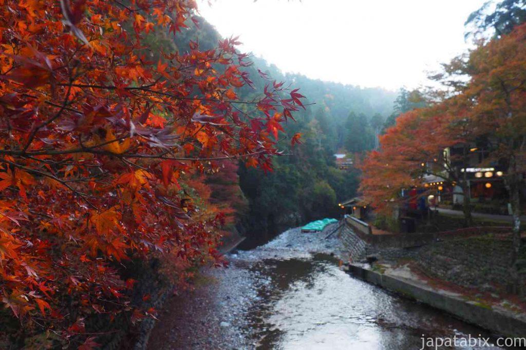 京都 高雄 神護寺 清滝川の紅葉