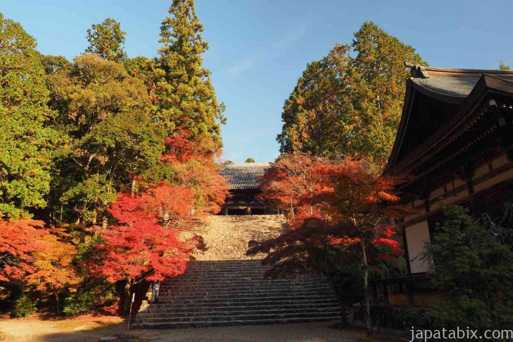 京都 高雄 神護寺 金堂への石段と紅葉