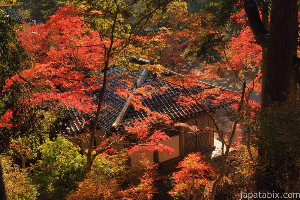 京都 高雄 神護寺 紅葉