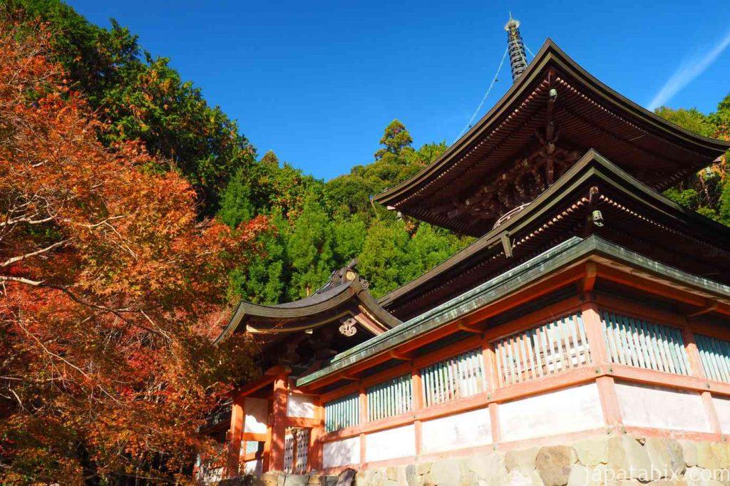 京都 高雄 神護寺 紅葉 多宝塔