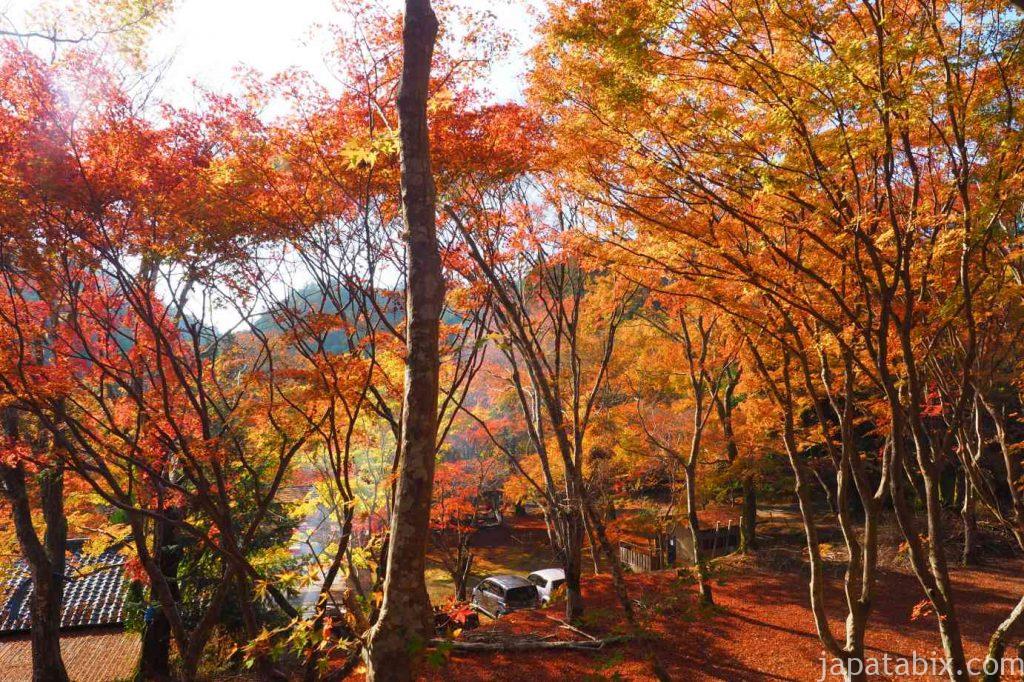 京都 高雄 神護寺 硯石亭の紅葉