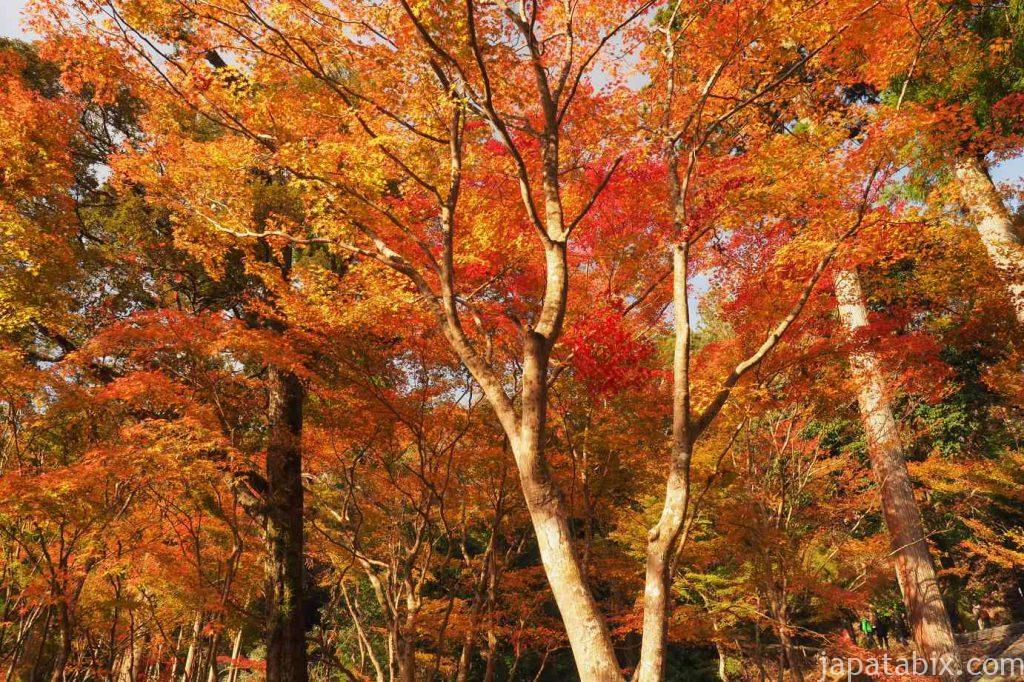 京都 高雄 神護寺 硯石亭の紅葉