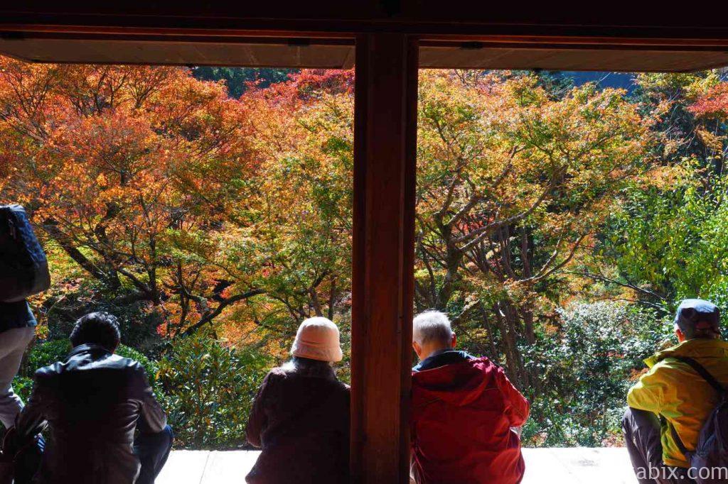 京都 高雄 高山寺 石水院 紅葉