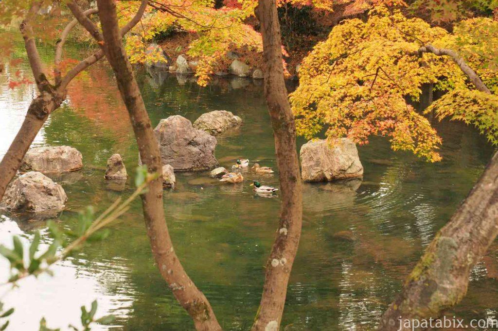 京都 東山 円山公園の紅葉