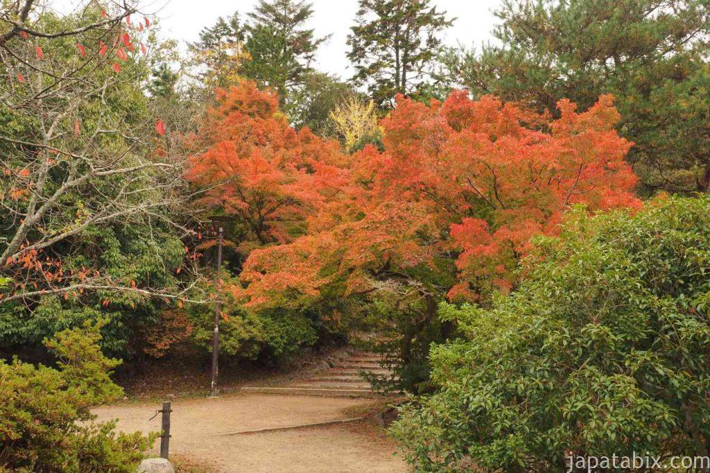 京都 東山 円山公園の紅葉