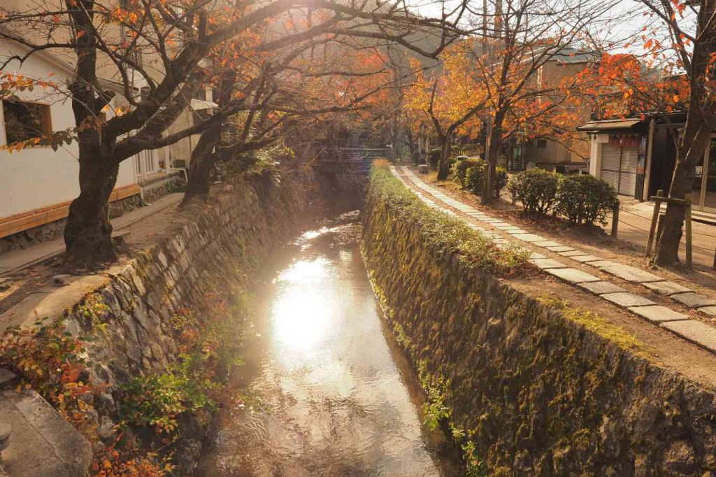 京都 銀閣寺 朝の哲学の道