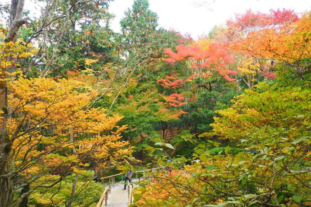 京都 銀閣寺 お茶の井庭園の紅葉