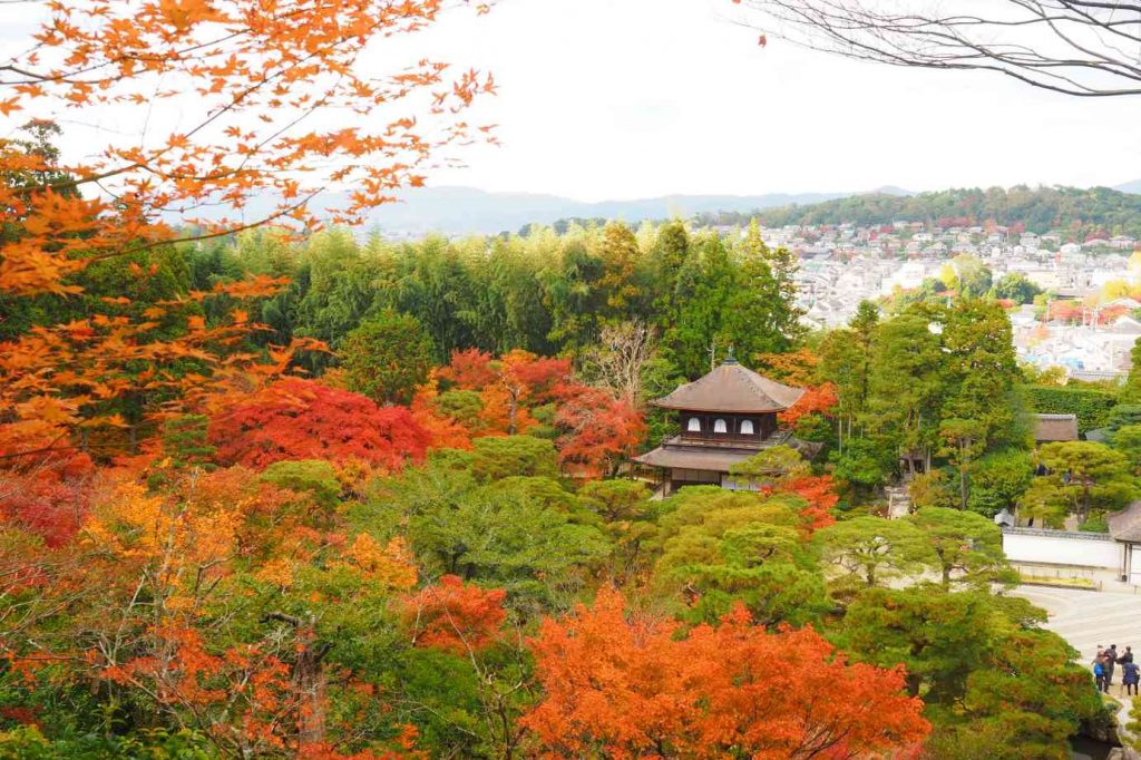 京都 銀閣寺 展望台から見た銀閣と紅葉