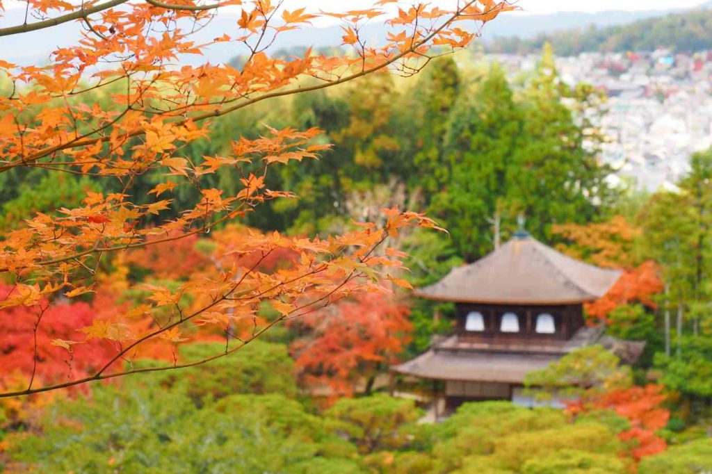 京都 銀閣寺 紅葉 展望台からの眺め