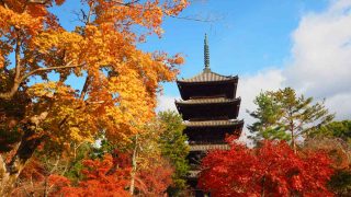京都 仁和寺 五重塔と紅葉