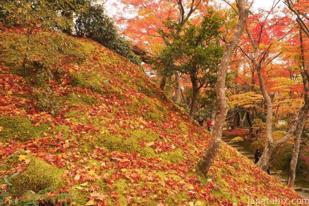 京都 嵯峨 常寂光寺 末吉坂と苔と散り紅葉