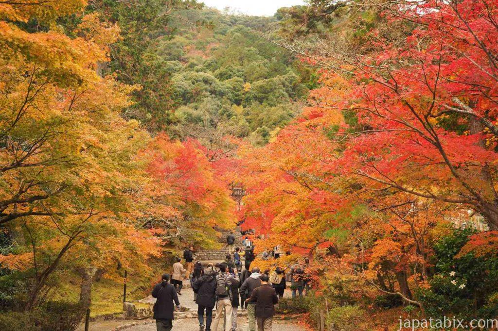 京都 嵯峨 二尊院 紅葉の馬場
