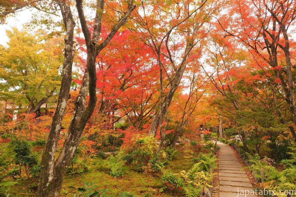 京都 嵯峨 宝筐院 枯山水庭園の紅葉